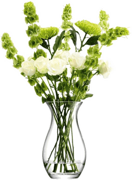 Elegant Green Floral Arrangement in a Vase PNG