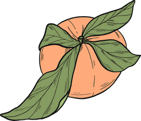 Peach Blossom Reverie Nature's Delicate Harmony PNG