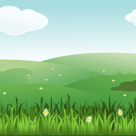 Lavender Field Bliss Under a Clear Sky PNG