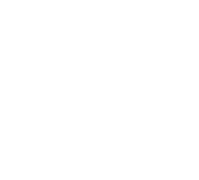 By Night A Vibrant Night Market Experience PNG