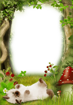 Whimsical Picture Frame with Playful Kitten PNG