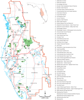 Antique Map of Florida's Nature Preserves and Parks PNG