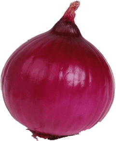 Fresh Red Onion Rings Delight PNG