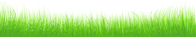 Lush Green Grass Landscape Design PNG
