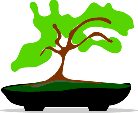 Serene Harmony The Art of Bonsai Tree PNG