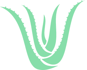 Natural Wellness The Power of Aloe Vera PNG