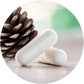 Nature's Healing The Pinecone Pill Connection PNG