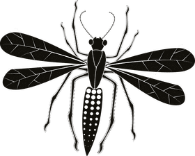 Elegant Insect with Intricate Wings PNG