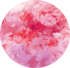 Quartz Crystal Reflections on Rice PNG