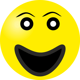 Happy Emoticon with a Big Smile PNG