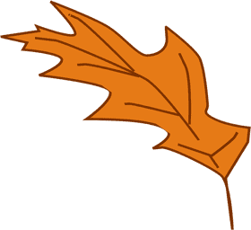 Autumn's Embrace A Vibrant Leaf PNG