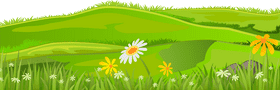 Vibrant Meadow with Colorful Grass and Flowers PNG