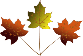 Autumn's Vibrant Leaf Trio PNG