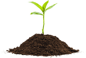 Latte Art Nurturing Creativity in a Cup PNG