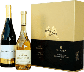 Elegant Wine Bottles Gift Set PNG