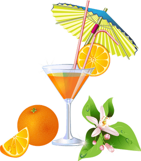 Tropical Summer Citrus Delight PNG