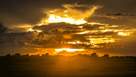 Golden Serenity at Sunset's Edge PNG