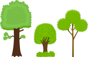 A Trio of Lush Green Trees PNG