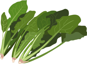 Vibrant Kale Salad Delight PNG