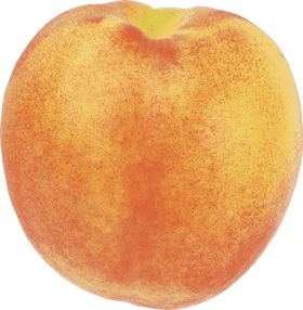 Peach Blossom Serenity in Fruity Delight PNG