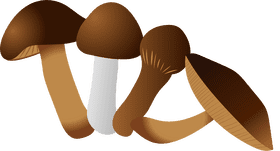 Mushroom Medley A Forest Delight PNG