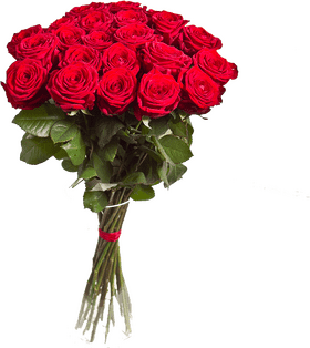 Classic Red Rose Flower Bouquet Delight PNG