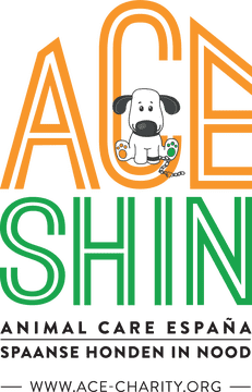 Animal Care and Rescue Initiative PNG