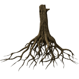 Natural Wonders of Ginger Root PNG