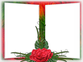 Elegant Floral Photo Frame for Cherished Memories PNG