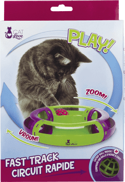 Cat's Fast Track Playtime Adventure PNG
