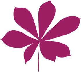 Vibrant Pink Leaf of Nature's Elegance PNG