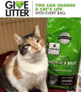 Cat's Comfort The Natural Choice for Litter PNG