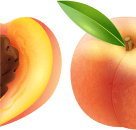 Peach Blossom Delightful Serenity PNG