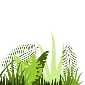 Exploring the Jungle Trail of Verdant Beauty PNG