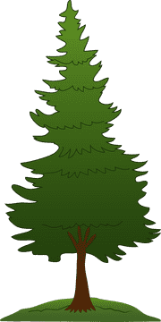 Pine Cone Tree Silhouette Design PNG