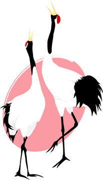 Elegant Duo Building Crane Harmony PNG