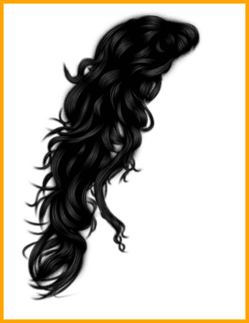 Luxurious Locks Hair Dryer Experience PNG