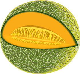Fresh and Juicy Melon Slice Delight PNG