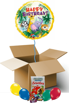 Jungle Trail Birthday Surprise Adventure PNG