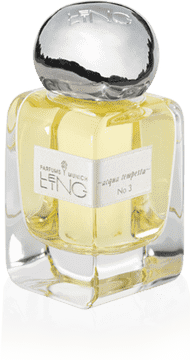 Elegant Acqua Tempesta Perfume Bottle PNG