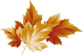 Autumn's Golden Leaf Symphony PNG