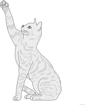 Elegant Whiskers The Graceful Cat Companion PNG