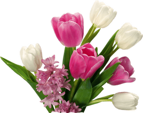 Elegant Spring Blossom Flower Arrangement PNG