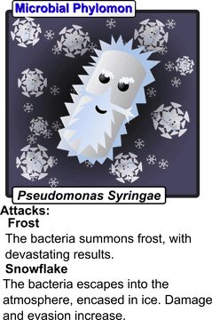 Charming Bacteria The Pseudomonas Syringae Adventure PNG