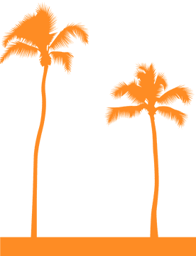 Serene Sunset with Palm Trees PNG