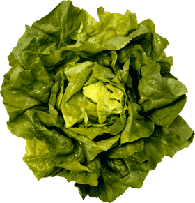 Fresh and Vibrant Quinoa Salad Delight PNG