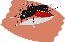 Effective Mosquito Repellent for Peaceful Outdoor Moments PNG