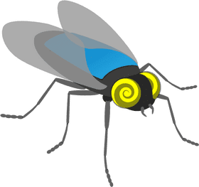 Vibrant Insect with Spiraled Eyes PNG