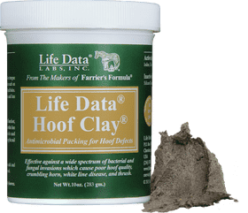 Life Data Analysis Enhancing Hoof Health Insights PNG