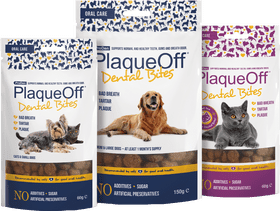 Dental Bites for Fresh Breath and Healthy Smiles PNG